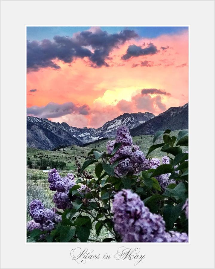 Pine Creek Cabin Livingston Montana Zewnętrze zdjęcie