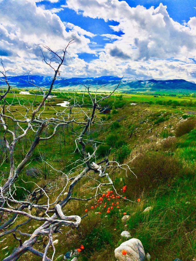Pine Creek Cabin Livingston Montana Zewnętrze zdjęcie