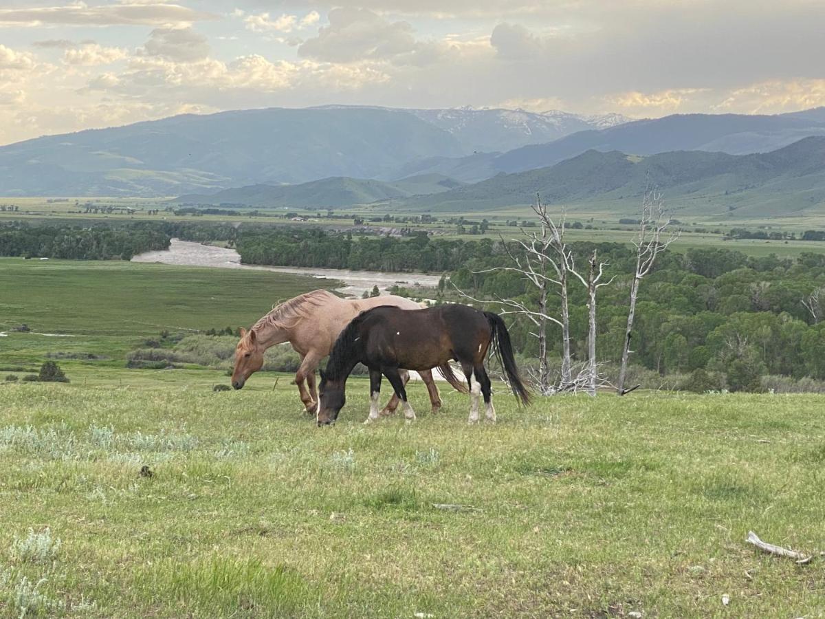 Pine Creek Cabin Livingston Montana Zewnętrze zdjęcie