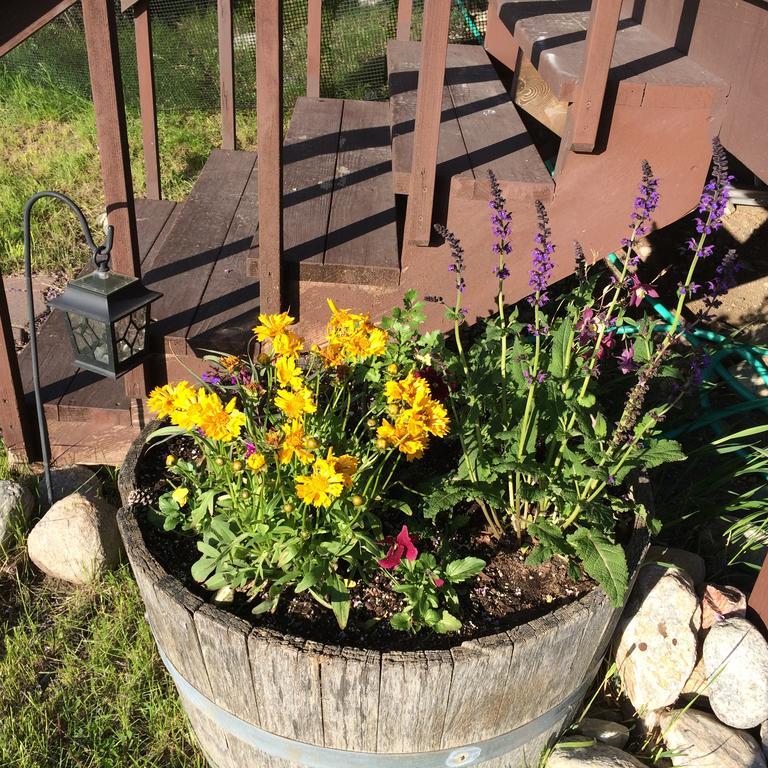 Pine Creek Cabin Livingston Montana Zewnętrze zdjęcie