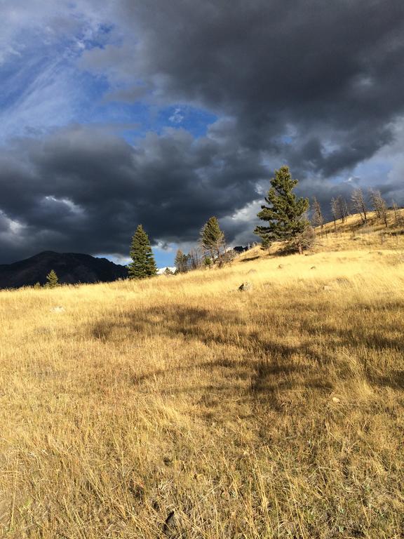 Pine Creek Cabin Livingston Montana Zewnętrze zdjęcie