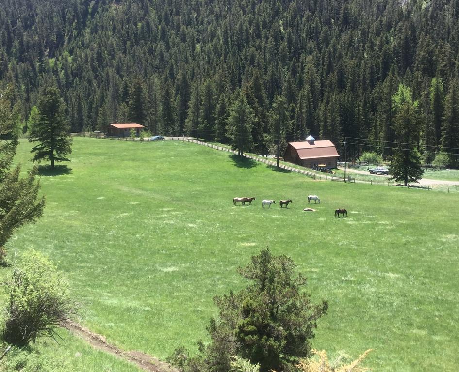 Pine Creek Cabin Livingston Montana Zewnętrze zdjęcie